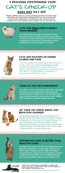 Routine Veterinary Care | Cat Friendly 