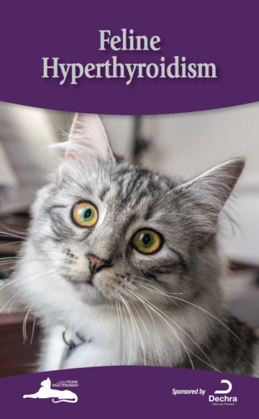 hyperthyroid meds for cats