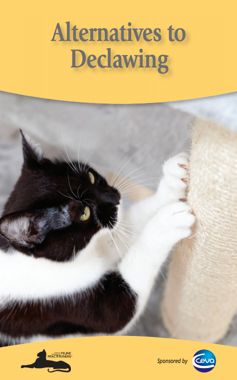 AAFP Alternatives to Declawing Brochure Cover