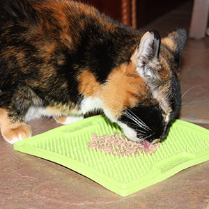 Cat using Puzzle Feeder to eat