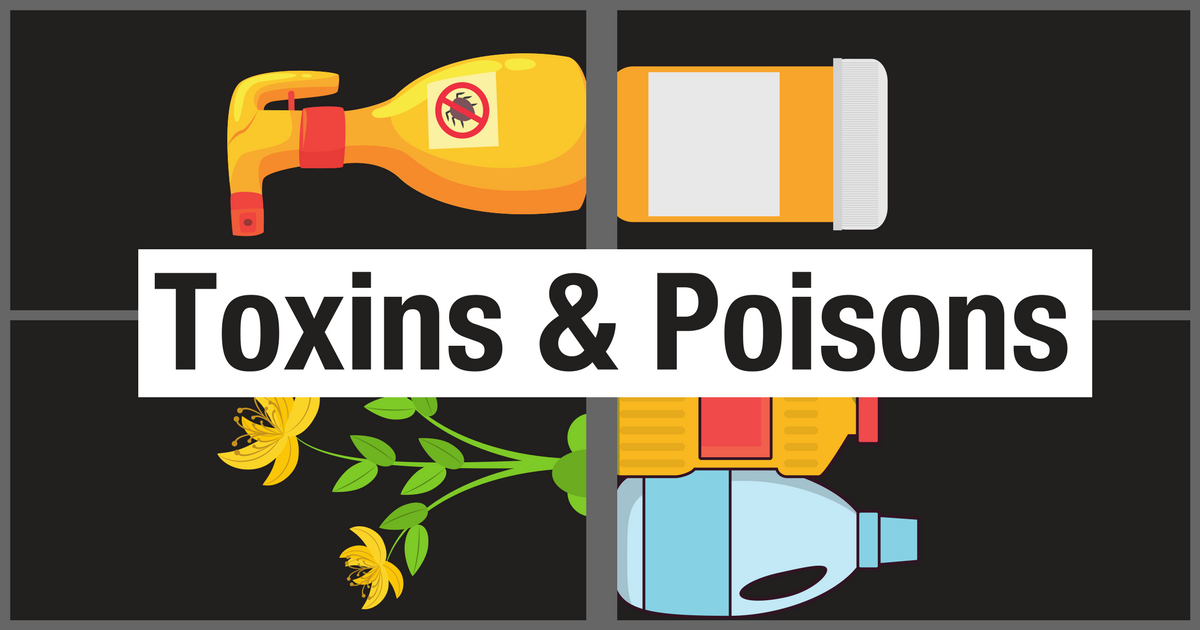 Common Feline Toxins And Poisons - Cat Friendly Homes