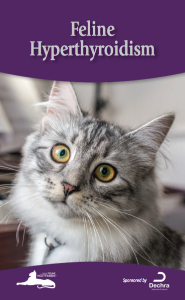 Feline Hyperthyroidism brochure
