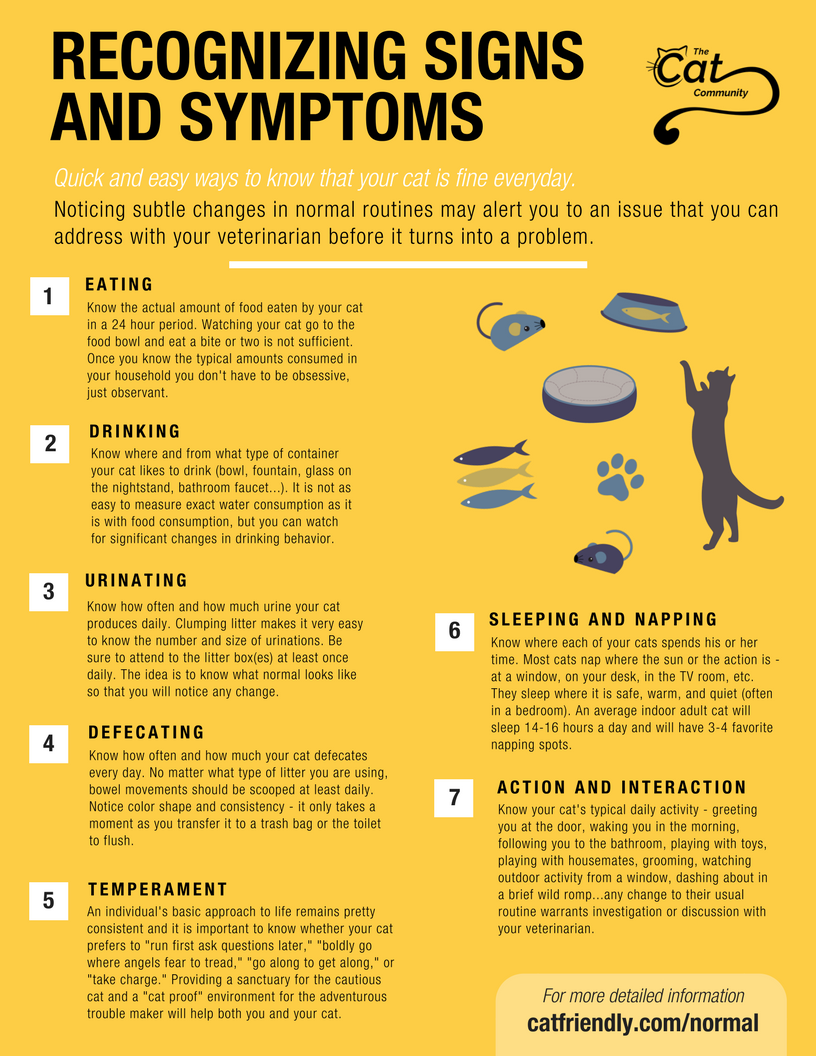 Recognizing signs and symptoms infographic