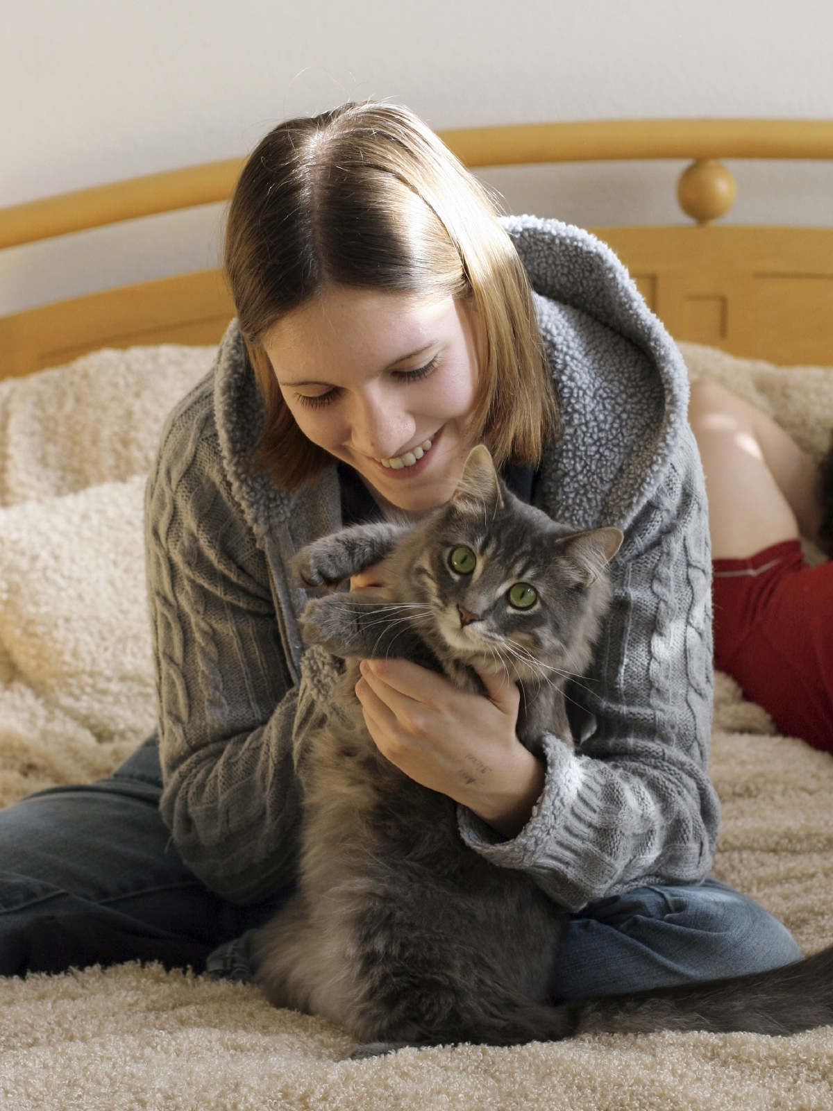 How to Pet & Handle Cats Cat Friendly Homes
