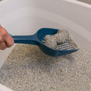 cat litter being scooped