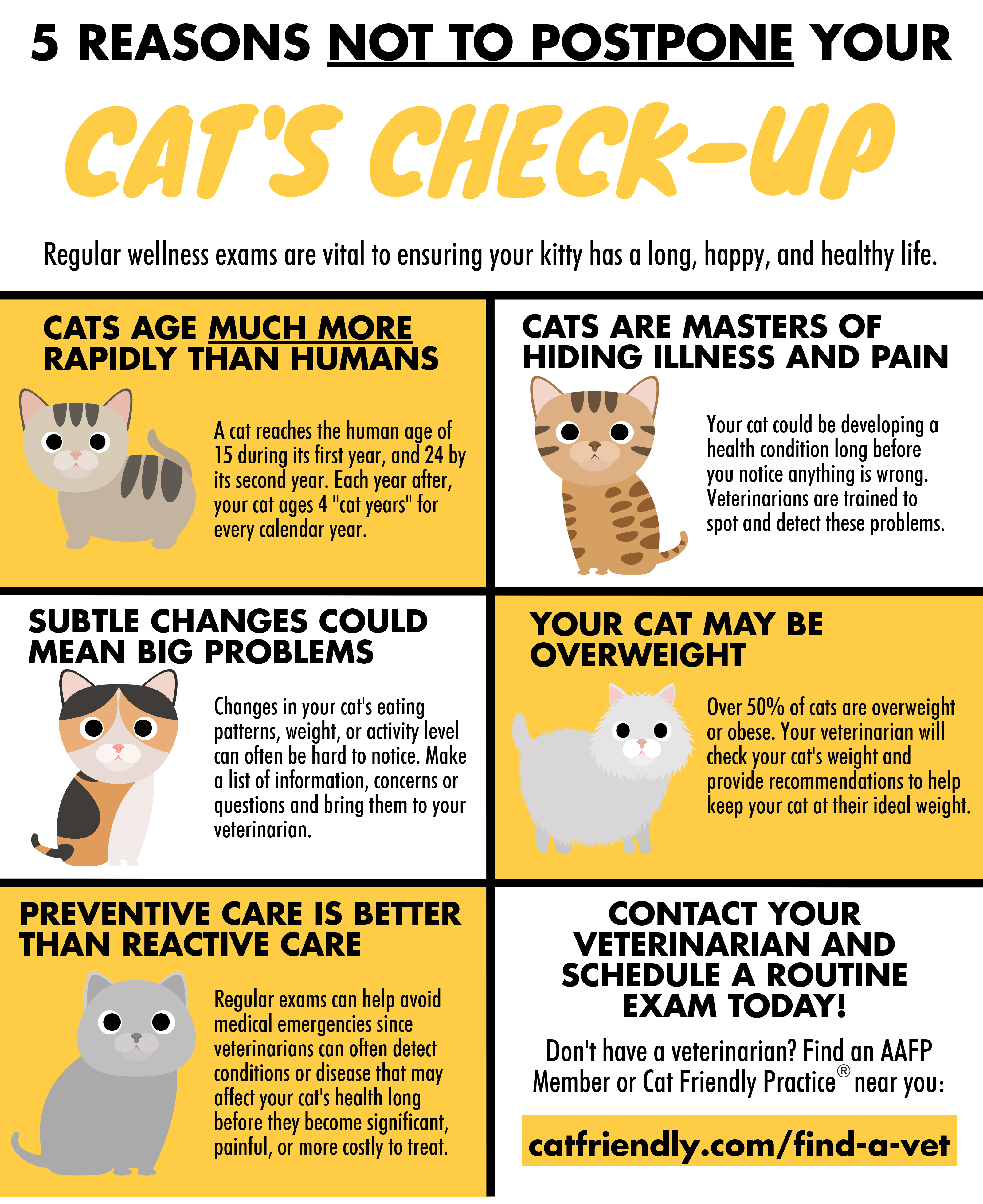 5 Reasons Not To Postpone Your Cat s Check Up Cat Friendly Homes