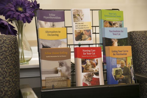 AAFP Cat Informational Brochures