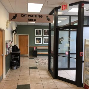 Cat friendly waiting area
