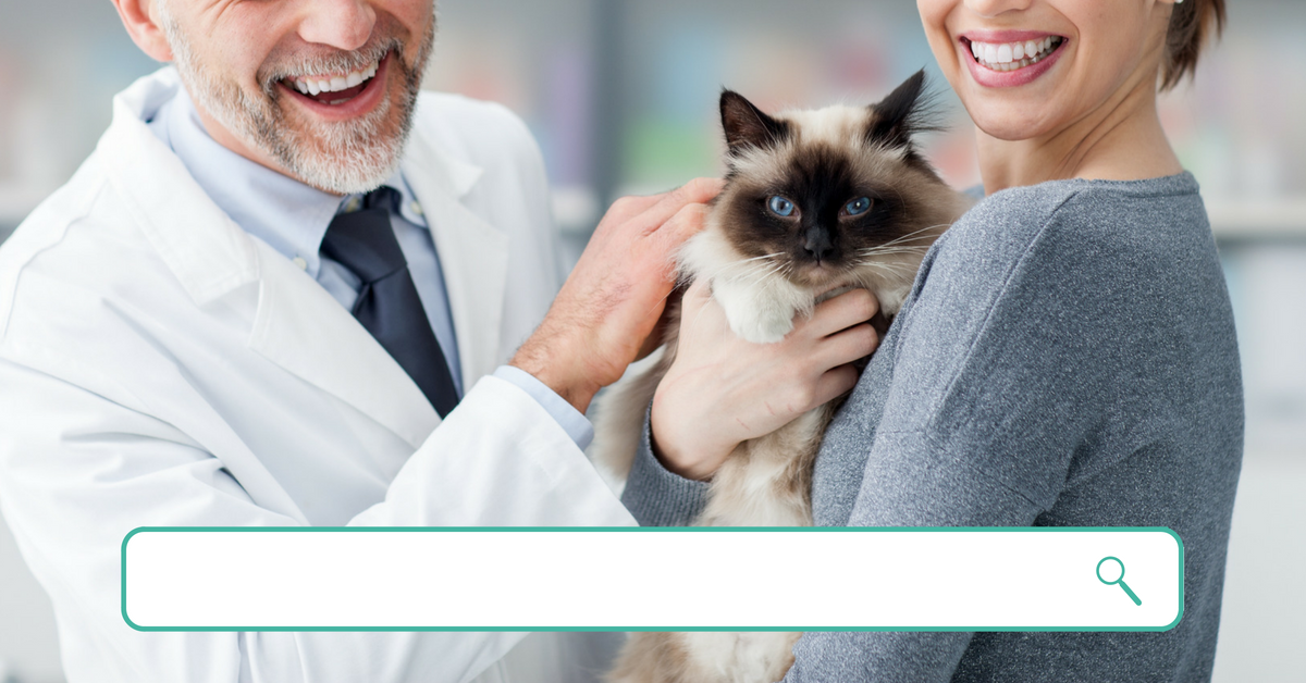 Visiting cats. ветеринар с кошкой. ветеринар с кошкой. Visiting cats. котенок у ветеринара.