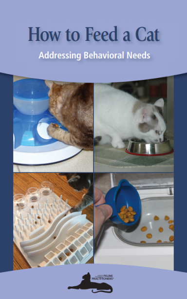 How to Feed a Cat AAFP brochure cover