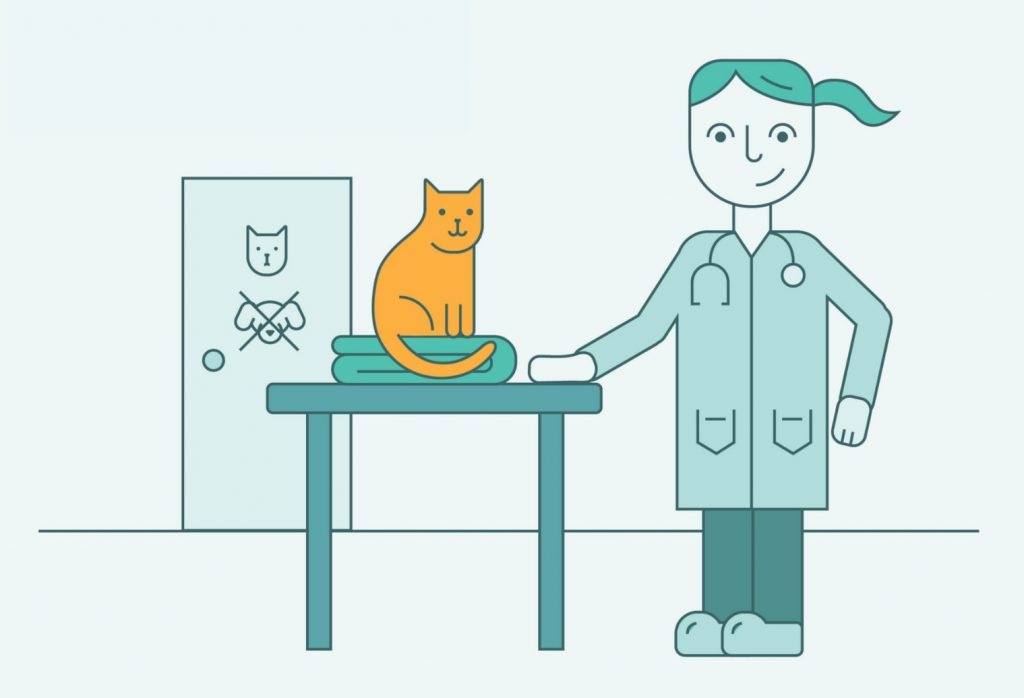 graphic of cat and veterinarian 