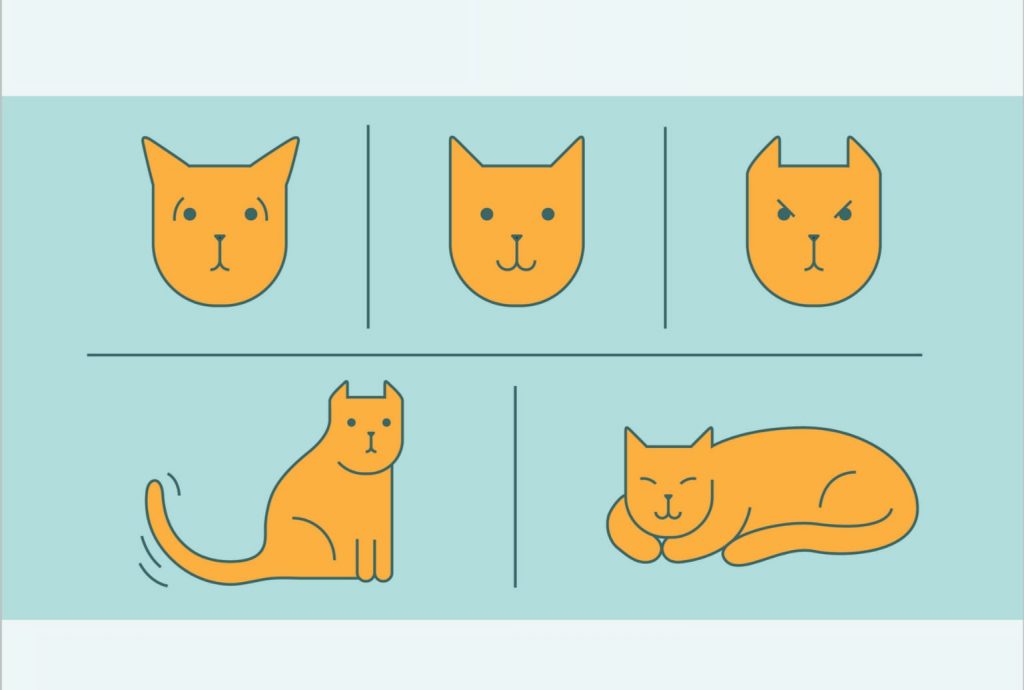 Cat vector graphic
