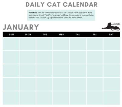 Cat Calendar