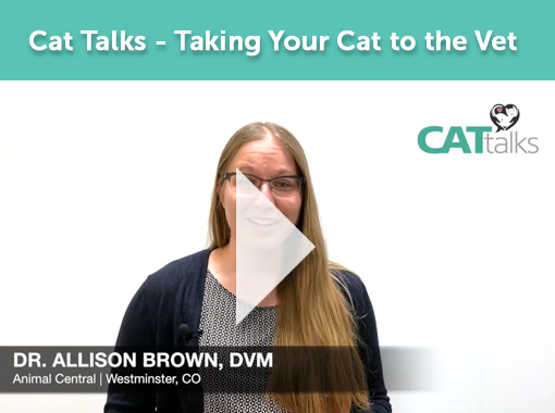 Cat Talks with Dr. Brown