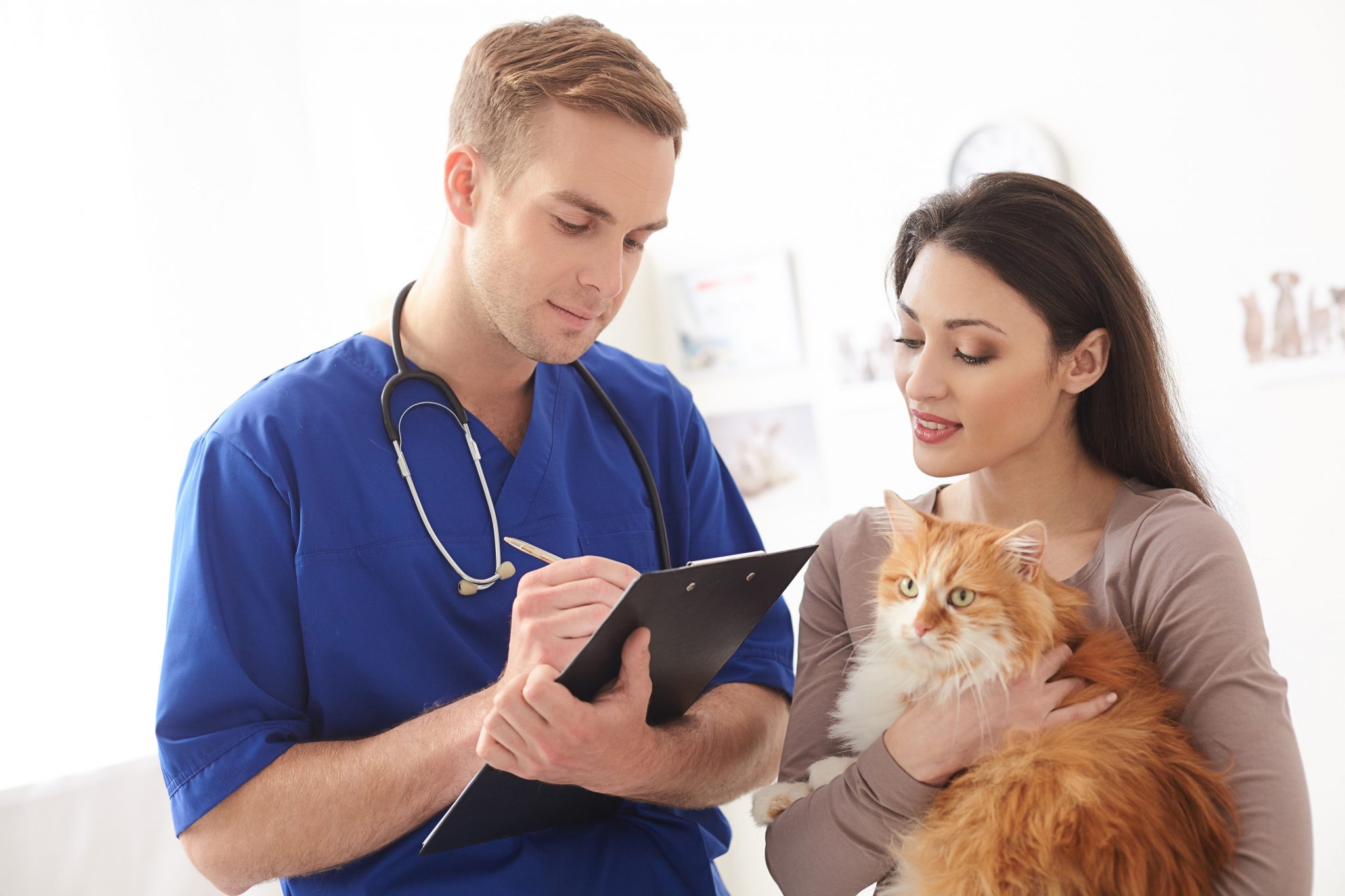 Cat with patient