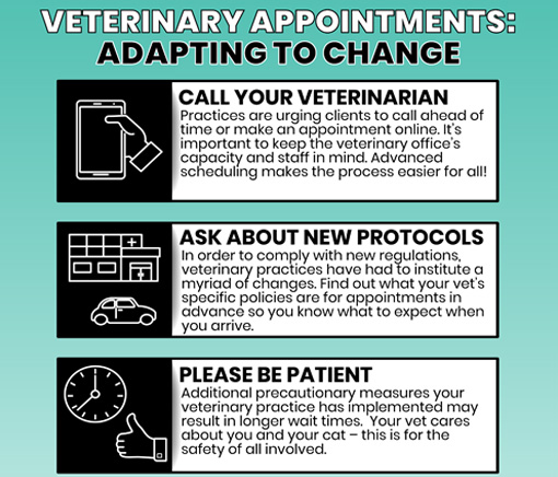 Vet Appointments infographic