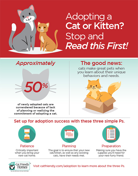 Adopting a cat or kitten