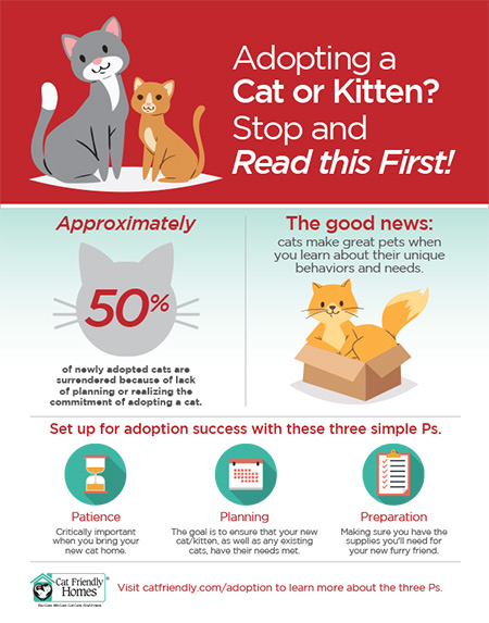 Cat Adoption - How to Adopt or Rescue a Cat