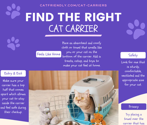 Find the right cat carrier