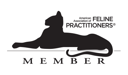 AAFP member logo