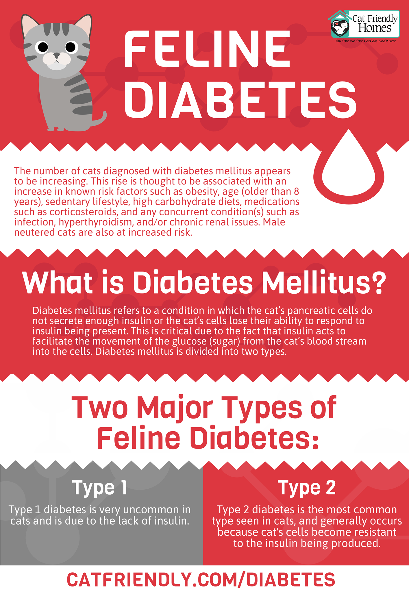 low blood sugar in cats