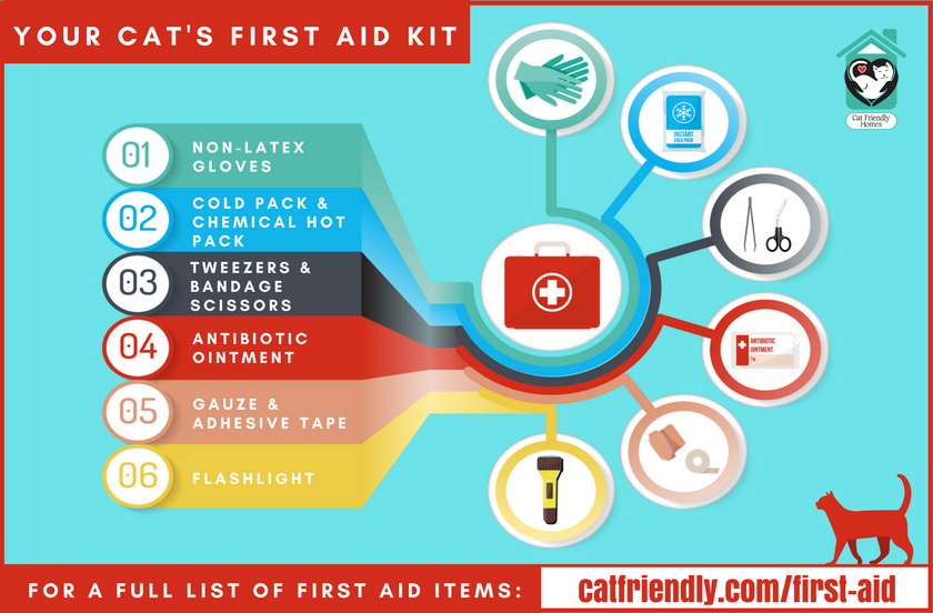 Pet first outlet aid kit cat