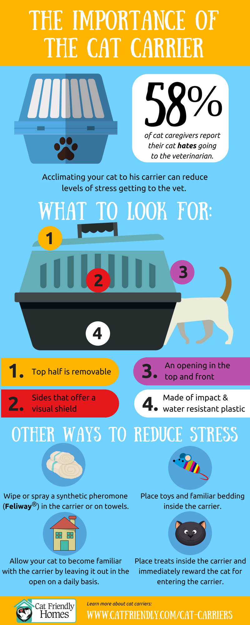 Cat Carrier Infographic