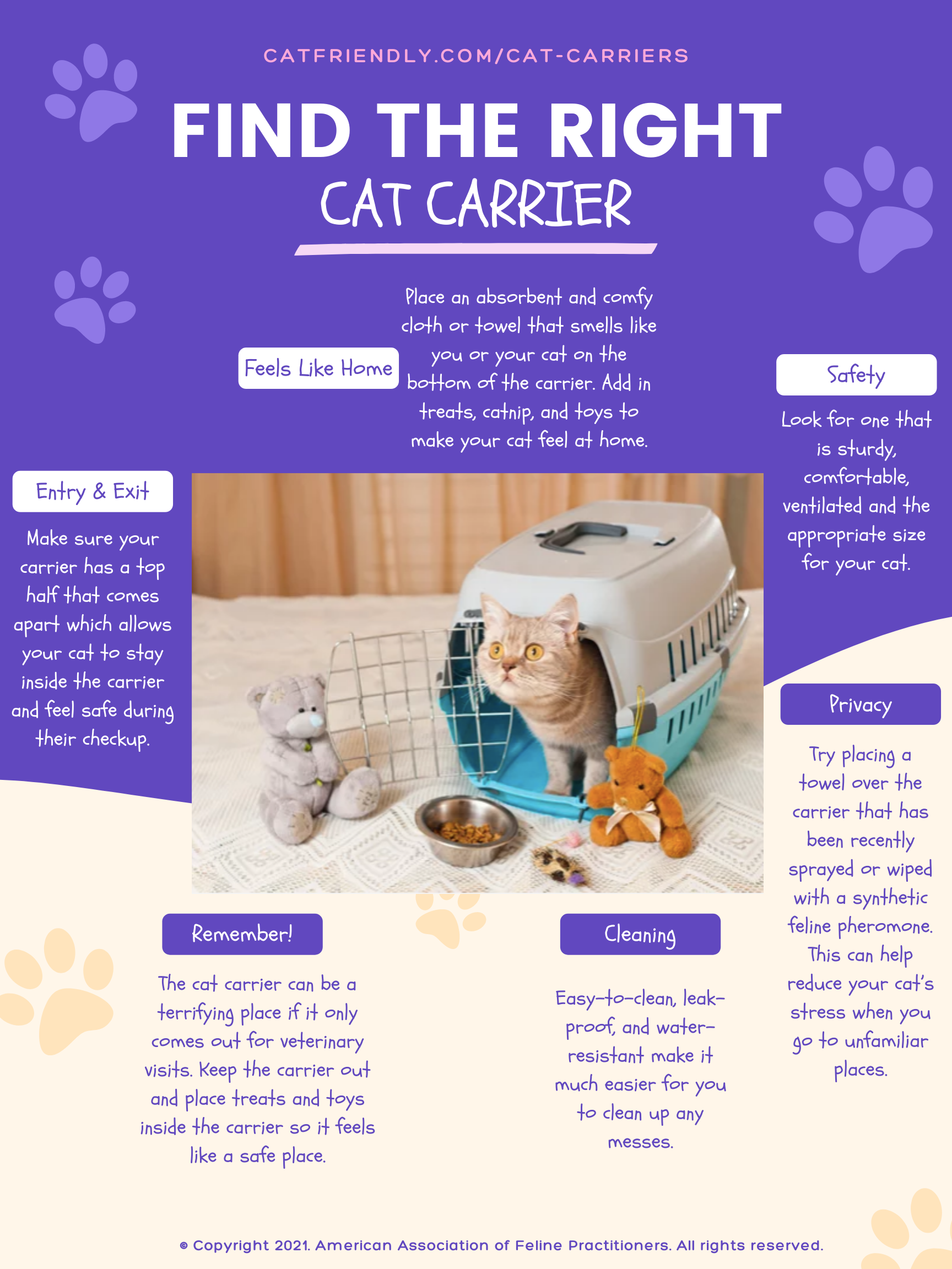 Cat Carrier Infographic