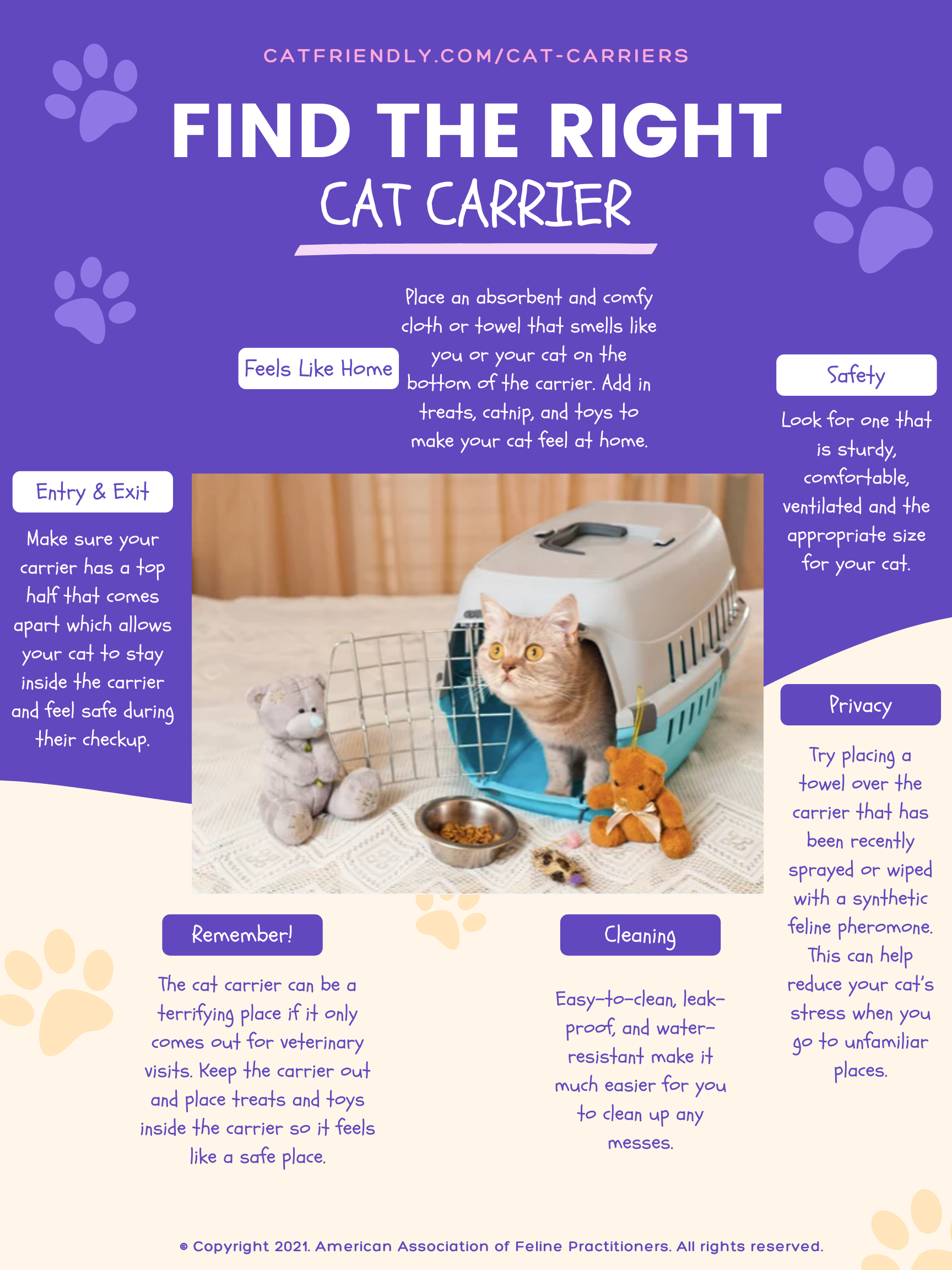 Choosing the Perfect Cat Carrier - Cat Friendly Homes