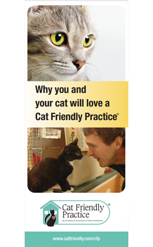 Cat Friendly Practice Brochure