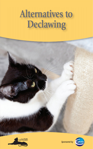 Alternatives to Declawing