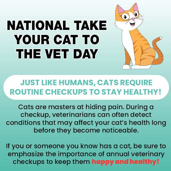 National Take Your Cat to the Vet Day 2023