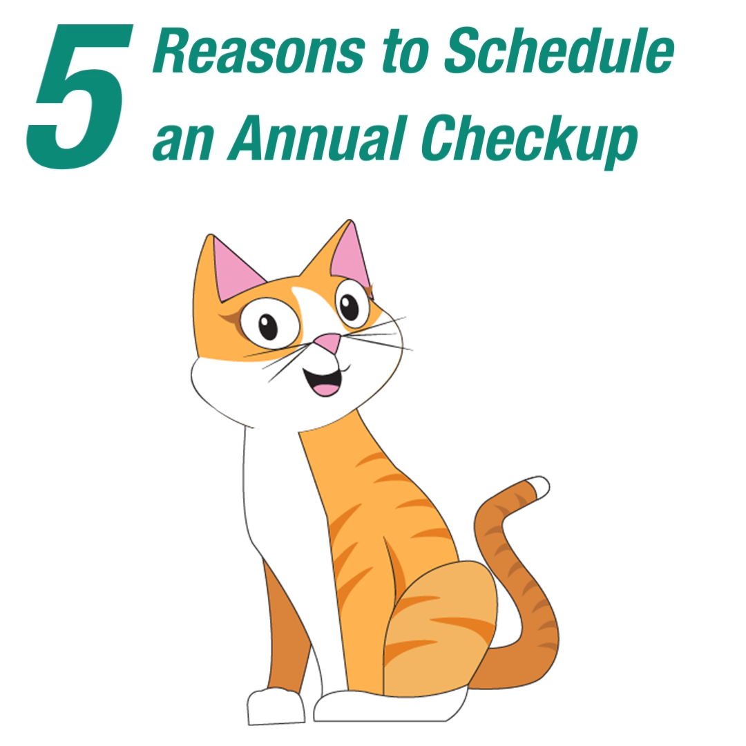 5 Reasons to Schedule an Annual Checkup