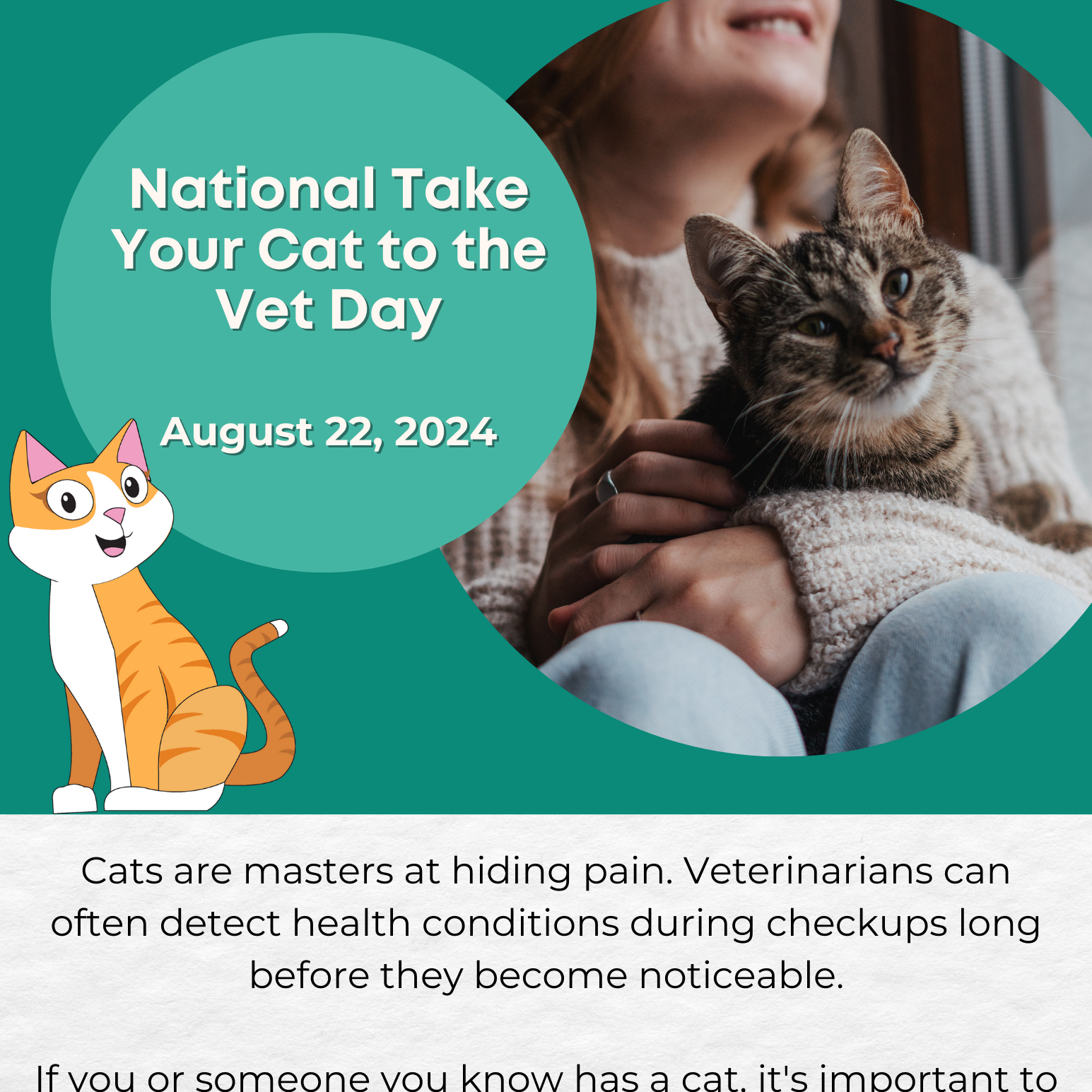 National Take Your Cat to the Vet Day Flyer