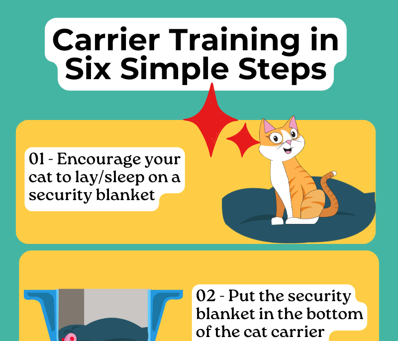 Carrier Training in Six Simple Steps