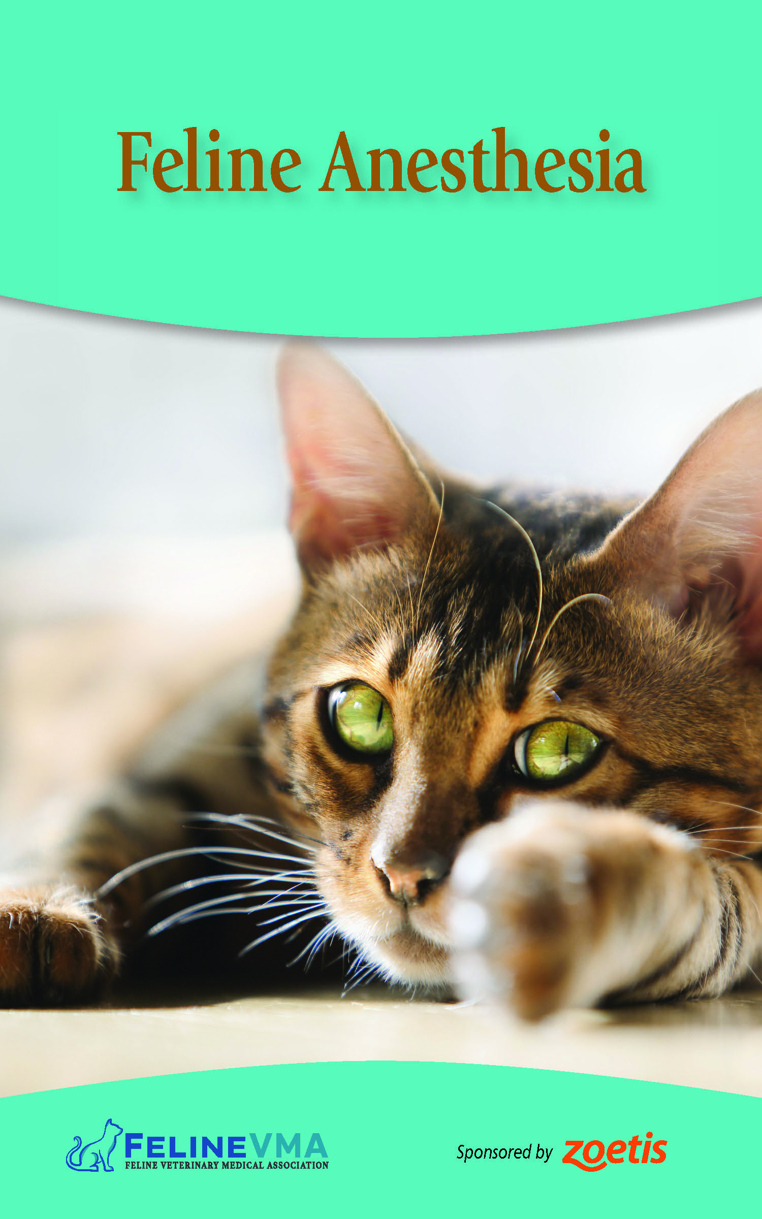 Feline Anesthesia Brochure Cover