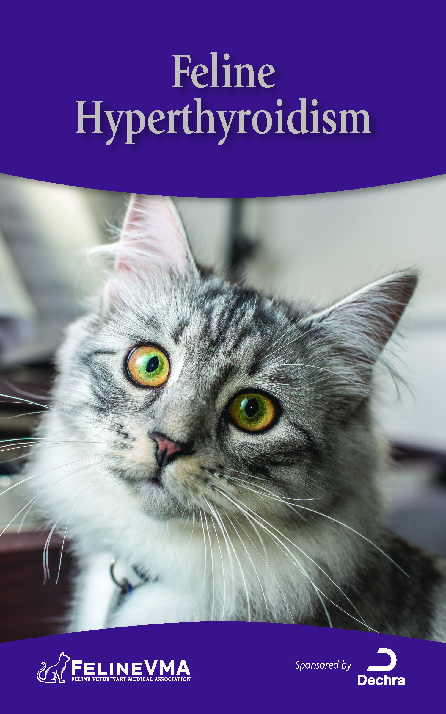 Feline Hyperthyroidism brochure