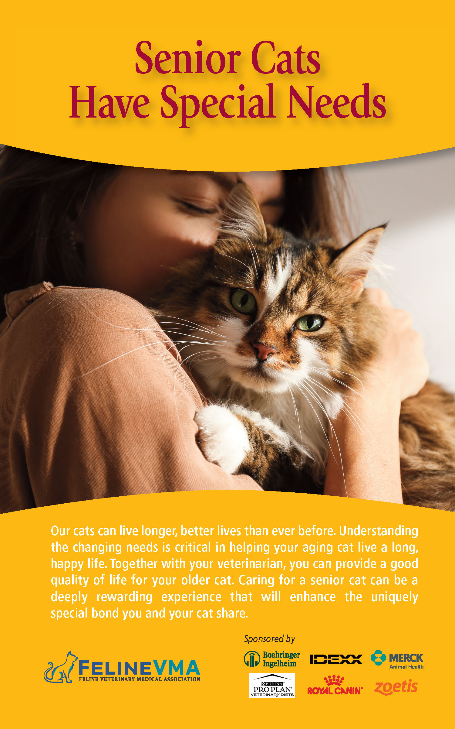 Senior Care Brochure