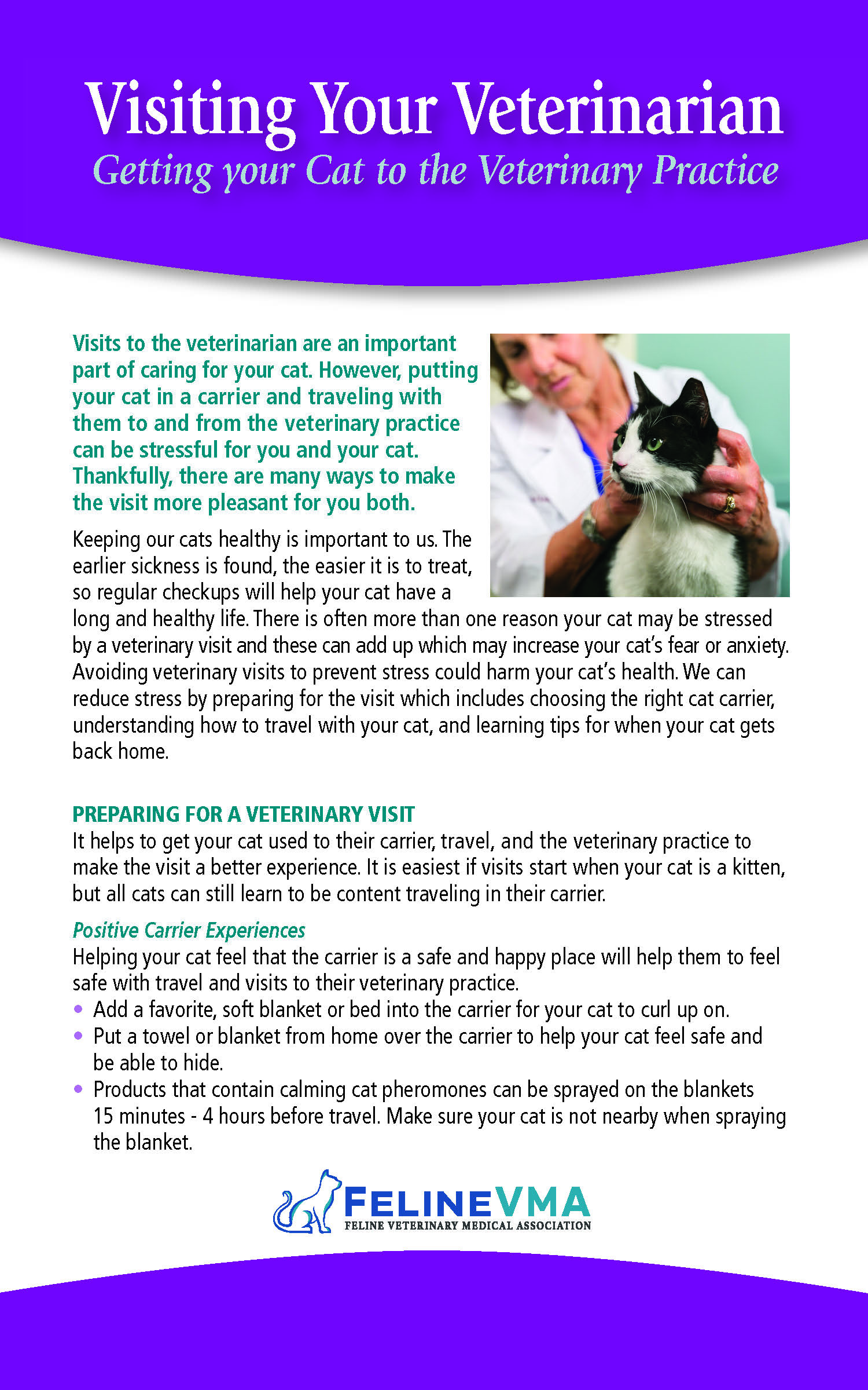 Getting Cat to the Vet Brochure