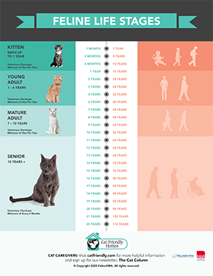 Life Stage Age Chart
