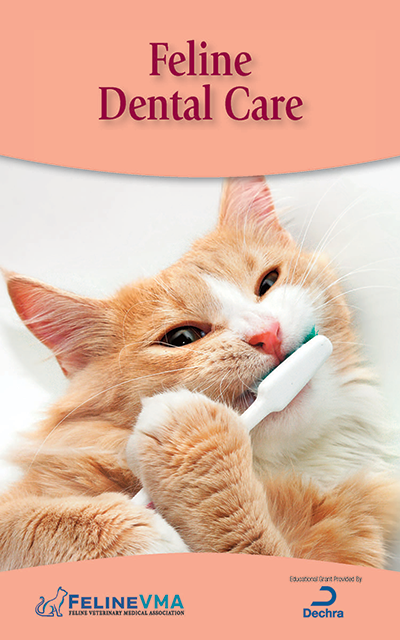 Feline Dental Care Brochure Cover