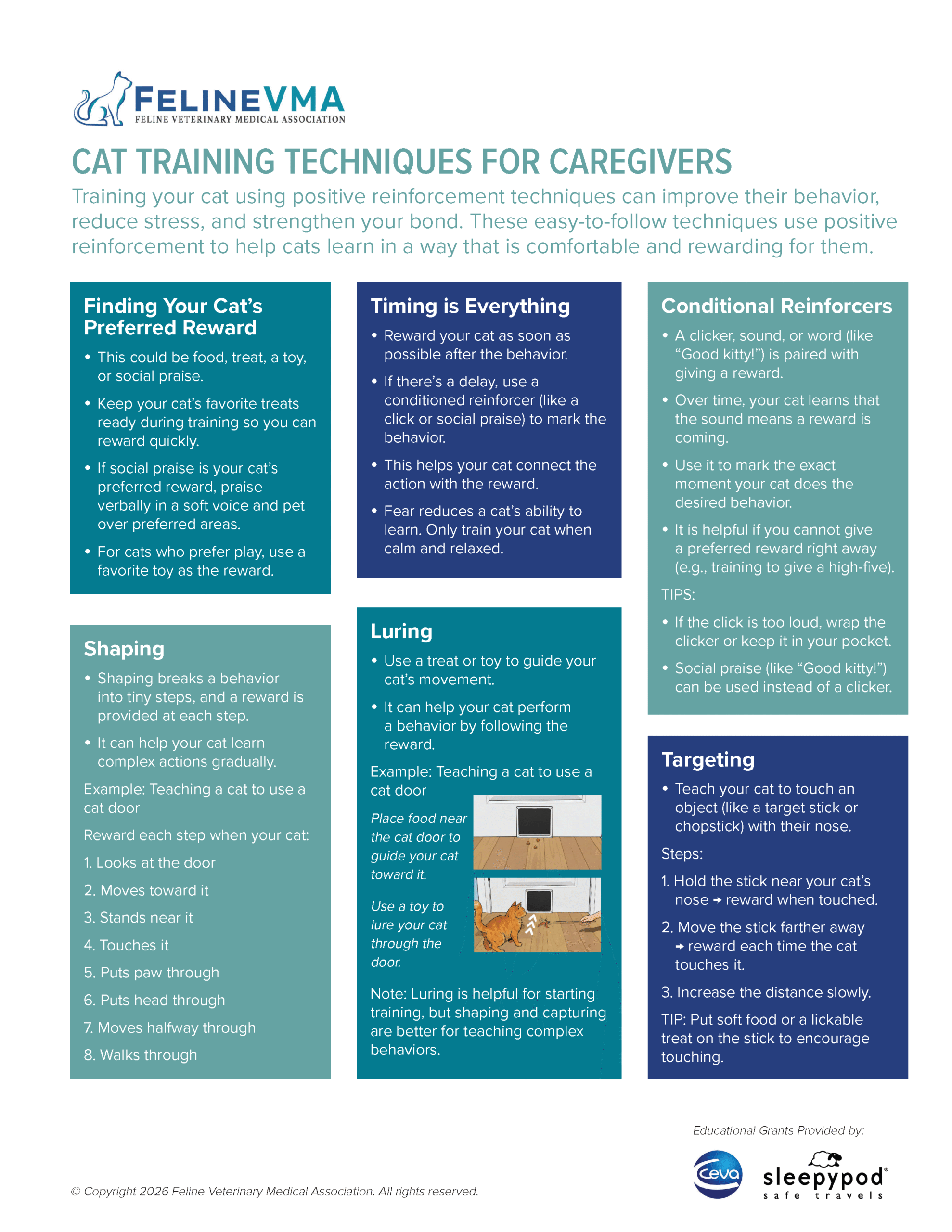 Cat Friendly Training Techniques
